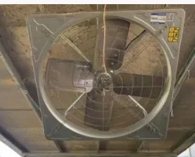 35 "Fan Fan Crios Crochta Cowshed Crochta